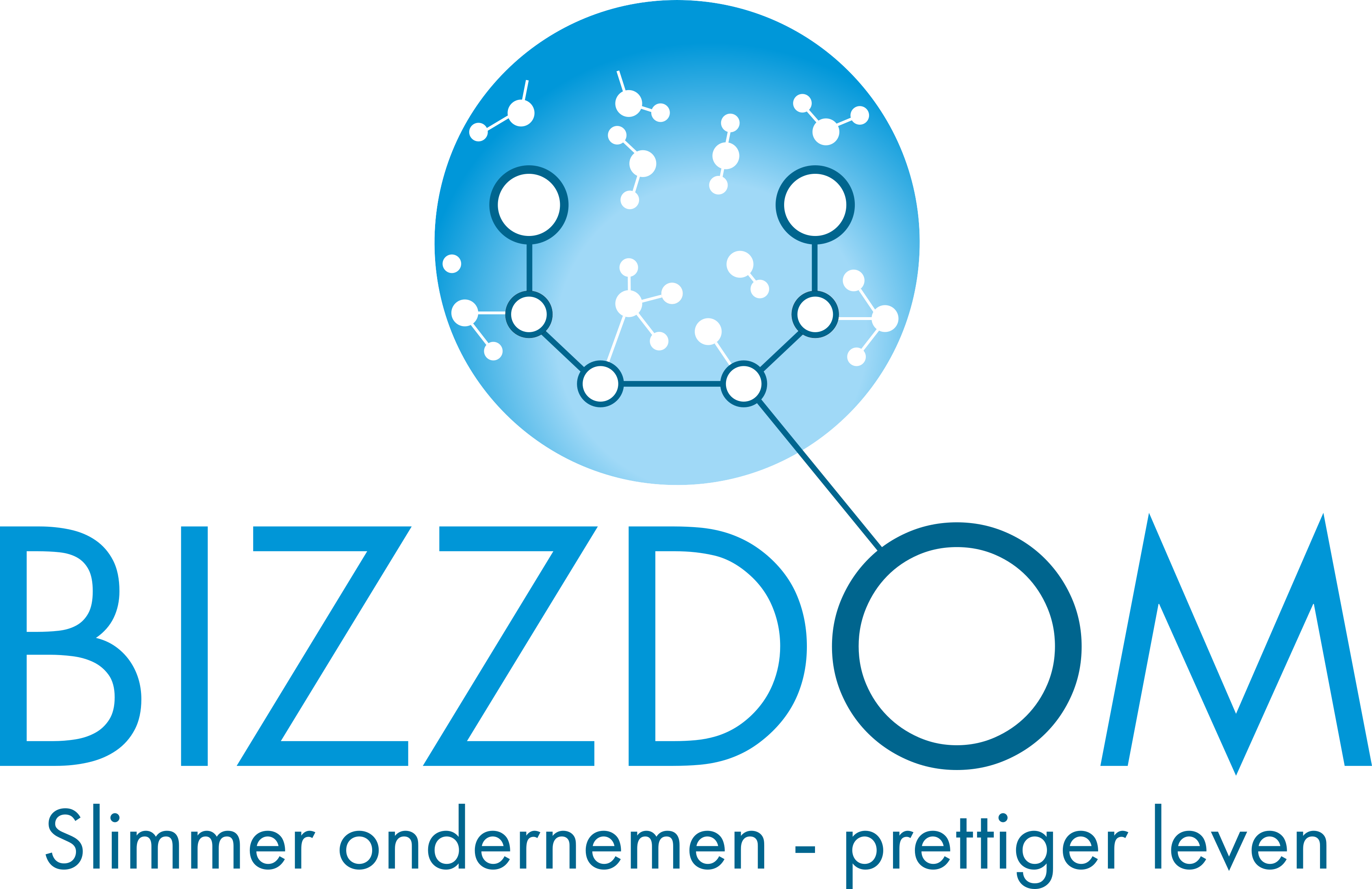 BizzDom - Slimmer ondernemen